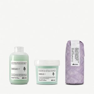 Essential Blow Dry Set